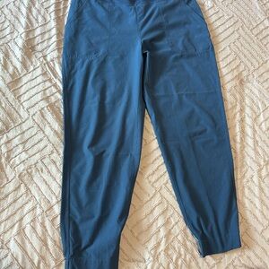 Patagonia Blue hiking pants
